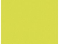 Lime Grass 5519